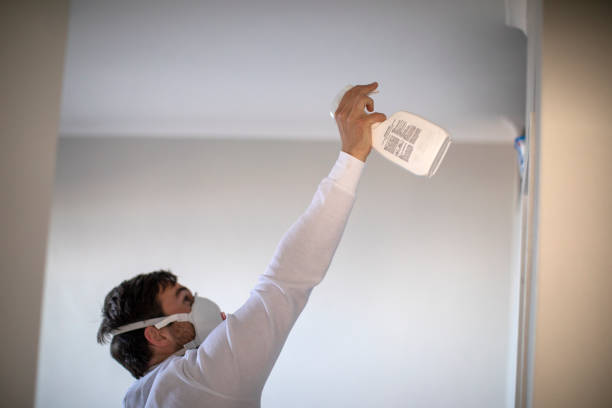 Attic Mold Removal in Veazie, ME